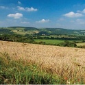 The South Downs 2